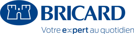 logo bricard