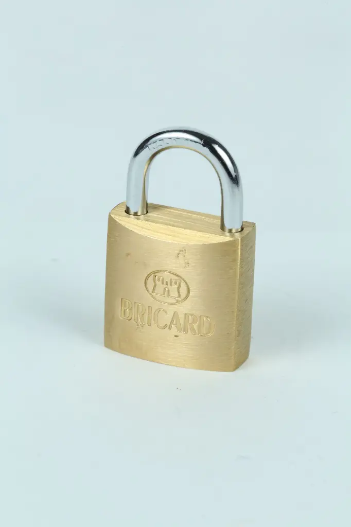 2542 020 Bricard Cadenas Ligne Classique 1.webp