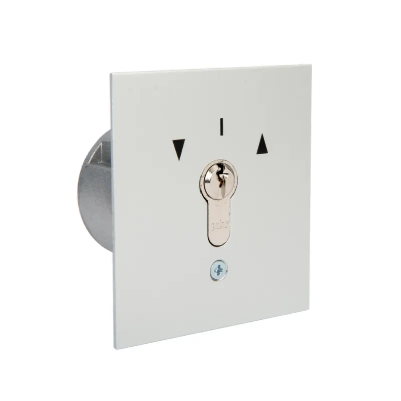 [478011] BOÎTIER CONTACTEUR ELECTRIQUE CLE A ENCASTRER - BRICARD (1)