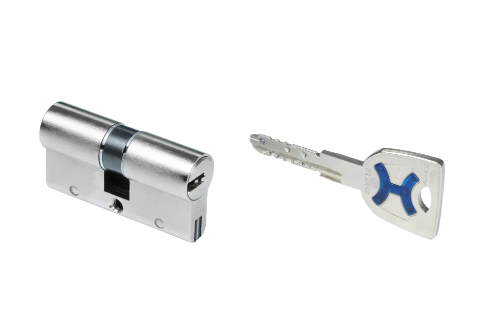 CYLINDRE POUR VIGIBLOCK DOUBLE ENTREE DUAL XP S2 - 50/55mm - BRICARD